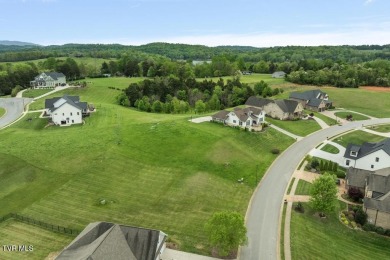 Lake Lot For Sale in Blountville, Tennessee