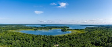 Imagine waking up to the sound of loons, surrounded by towering - photo 5