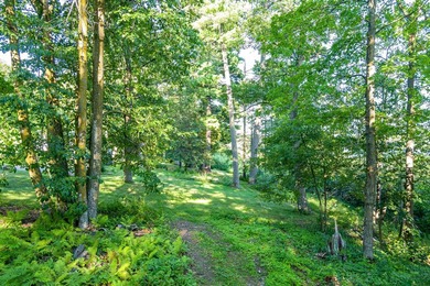 Imagine waking up to the sound of loons, surrounded by towering - photo 7