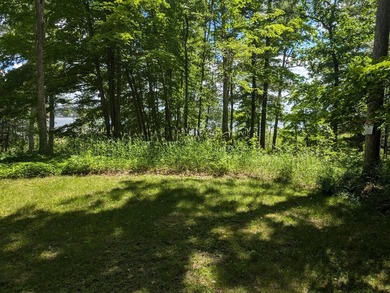 Imagine waking up to the sound of loons, surrounded by towering - photo 8