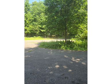 Imagine waking up to the sound of loons, surrounded by towering - photo 10