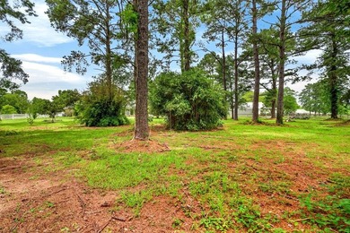 Welcome home! This beautifully maintained property is move in - photo 48