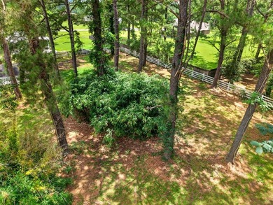 Welcome home! This beautifully maintained property is move in - photo 49