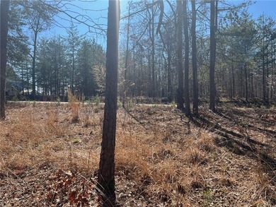 If you would enjoy a Hartwell Lake neighborhood home that is a - photo 11