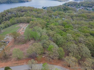 Beautiful 0.93-acre lot in Osage Heritage! Enjoy a convenient - photo 4