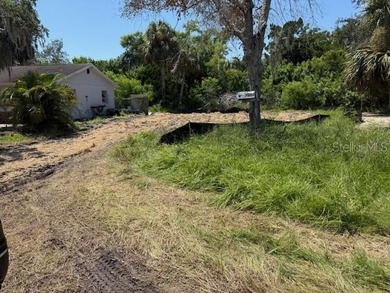 Fantastic 5220 sq ft vacant lot in a peaceful neighborhood, very - photo 2
