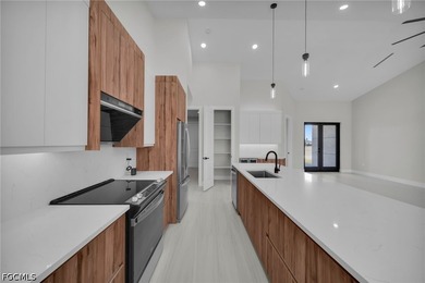 Beautiful new construction home in the heart of Cape Coral - photo 13