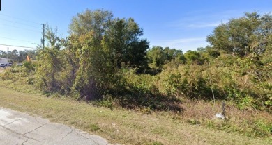 Lake Marion - Polk County Lot For Sale in Poinciana Florida