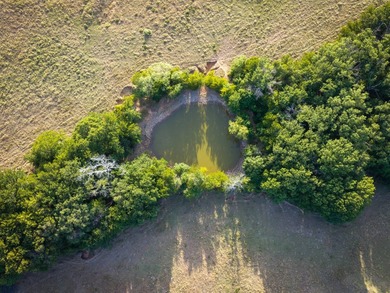 The Lewis Ranch is a rare legacy property, offered for sale for - photo 23
