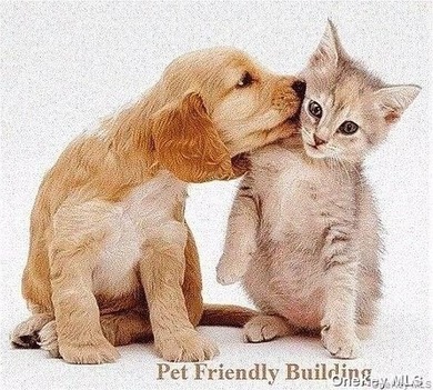 Welcome to River Gardens, Pet friendly building in the heart of - photo 25