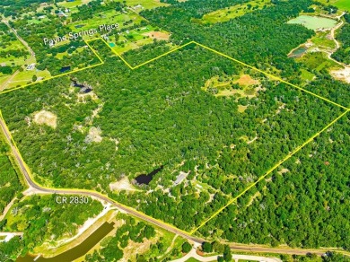 Prime Investment Opportunity: 118 Acres property at Cedar Creek - photo 3