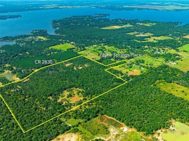 Prime Investment Opportunity: 118 Acres property at Cedar Creek - photo 5