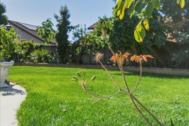 Looking for a BIG house, Great schools, Nice neighborhood - photo 37
