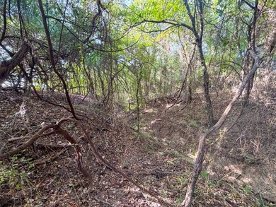 The Lewis Ranch is a rare legacy property, offered for sale for - photo 49