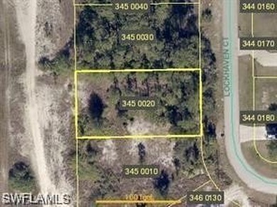 Lehigh Acres Area Lot For Sale in Lehigh Acres Florida