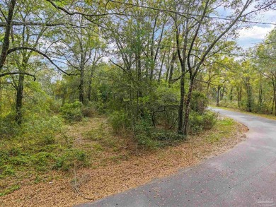 Build your dream home on this .36-acre residential lot located - photo 3