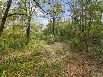 Build your dream home on this .36-acre residential lot located - photo 4