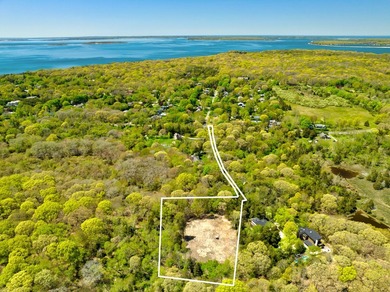 Offered for sale, this secluded 3.7 acre parcel is set on a flag - photo 4