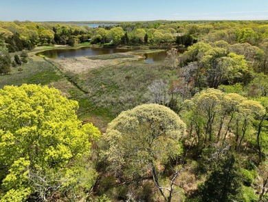 Offered for sale, this secluded 3.7 acre parcel is set on a flag - photo 7
