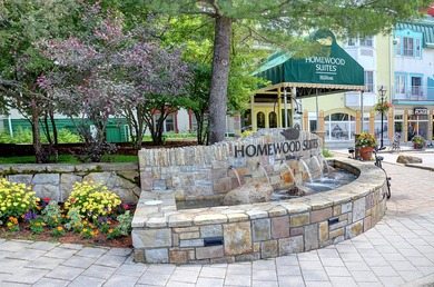 ***Homewood Suites by Hilton*** A great pied-a-terre, right in