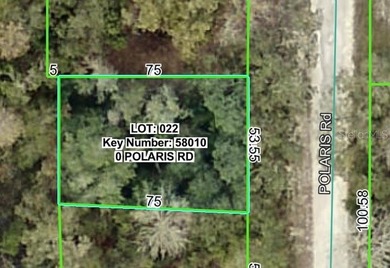 Withlacoochee River Lot For Sale in Dade City Florida