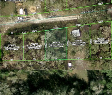 Withlacoochee River Lot For Sale in Dade City Florida