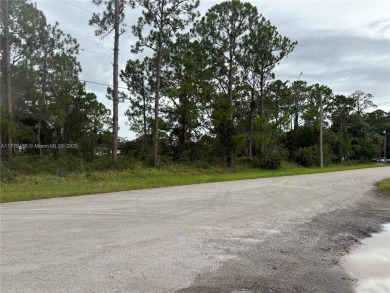 Lake Placid - Highland County Lot For Sale in Lake Placid Florida