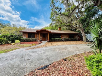 Little Lake Harris Home For Sale in Howey IN The Hills Florida