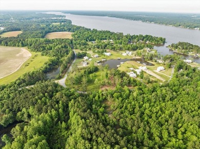 HUGE 2 acre lot (outlined in red in photos) on corner of Scenic - photo 12