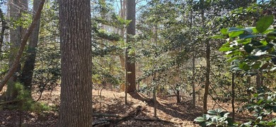 Beautiful building lot-open in front and woods behind. 4 bedroom - photo 15