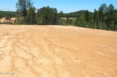 Grenada Reservoir Lot For Sale in Grenada Mississippi