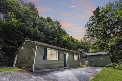 (private lake, pond, creek) Home For Sale in West Milford New Jersey