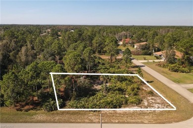 Lehigh Acres Area Lot For Sale in Lehigh Acres Florida