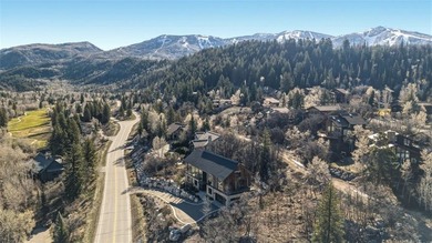 1136 Steamboat Boulevard is a striking architectural statement - photo 42