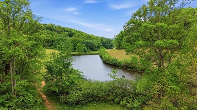 Welcome to Three Springs Retreat, a rare opportunity to own - photo 44