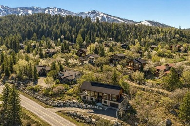 1136 Steamboat Boulevard is a striking architectural statement - photo 44