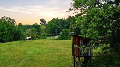 Welcome to Three Springs Retreat, a rare opportunity to own - photo 45