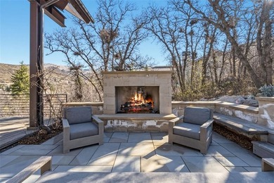 1136 Steamboat Boulevard is a striking architectural statement - photo 46