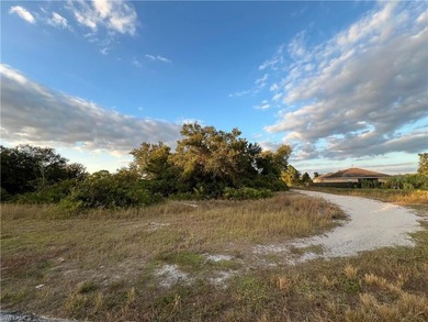 Lehigh Acres Area Lot For Sale in Lehigh Acres Florida