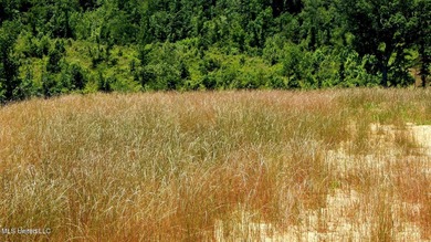 Grenada Reservoir Acreage For Sale in Grenada Mississippi