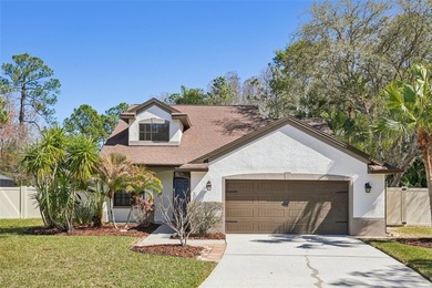 (private lake, pond, coastal) Home For Sale in Palm Harbor Florida