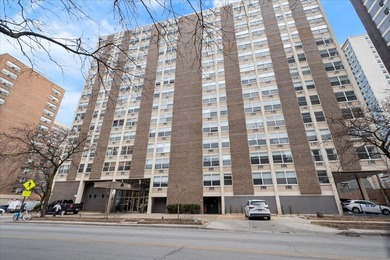 Lake Michigan - Cook County Condo For Sale in Chicago Illinois