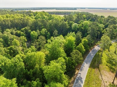 HUGE 2 acre lot (outlined in yellow in pictures) next one down - photo 11
