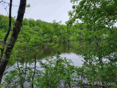 Menominee River - Florence County Acreage For Sale in Aurora T-WI Wisconsin