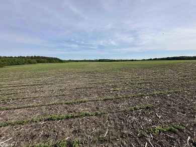PRICE REDUCED! FOR SALE in Appanoose County, Iowa is a 27.60+/- - photo 12