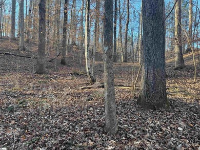 Additional listing photo 3