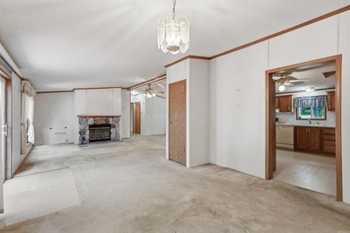 Bring your vision to this Greers Ferry Lake home on the - photo 19