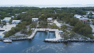 Beautiful adjoining oceanfront gated estates available - photo 2