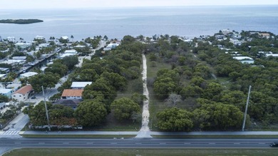 Beautiful adjoining oceanfront gated estates available - photo 3