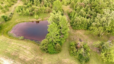Private Hunting Retreat with Pond, Hardwood Timber & Homesite - photo 3